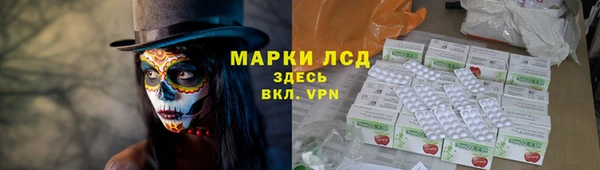 PSILOCYBIN Алексеевка