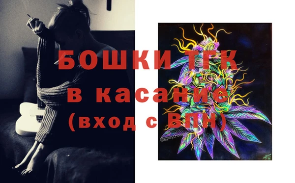 PSILOCYBIN Алексеевка